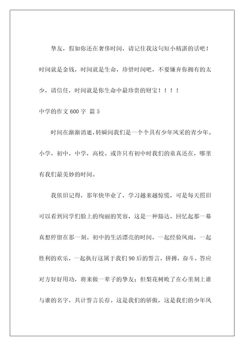 高中的作文600字211