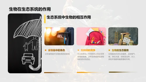 生物世界的演化地图