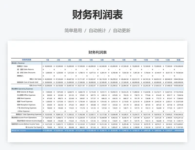 财务利润表