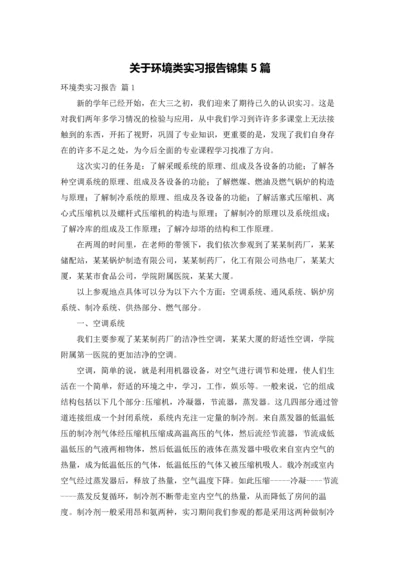 关于环境类实习报告锦集5篇.docx