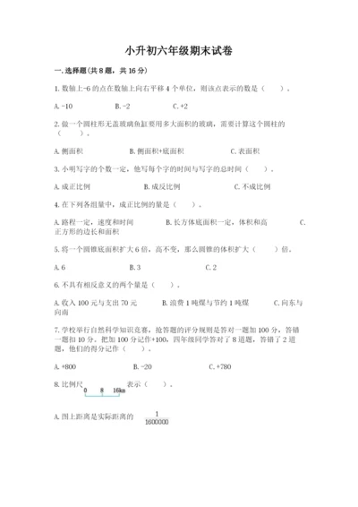 小升初六年级期末试卷（能力提升）word版.docx