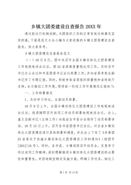 乡镇大团委建设自查报告某年.docx