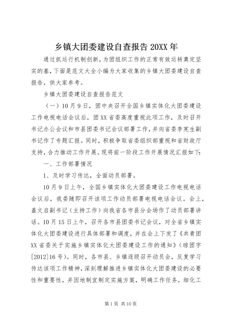 乡镇大团委建设自查报告某年.docx