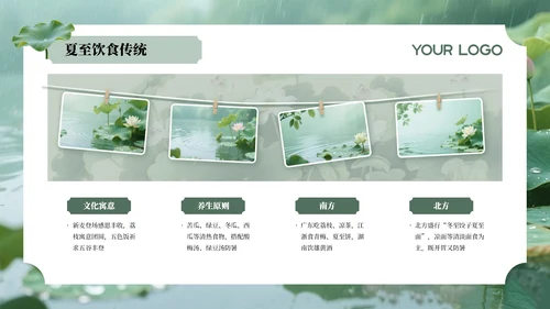 绿色夏至节气介绍通用PPT模板