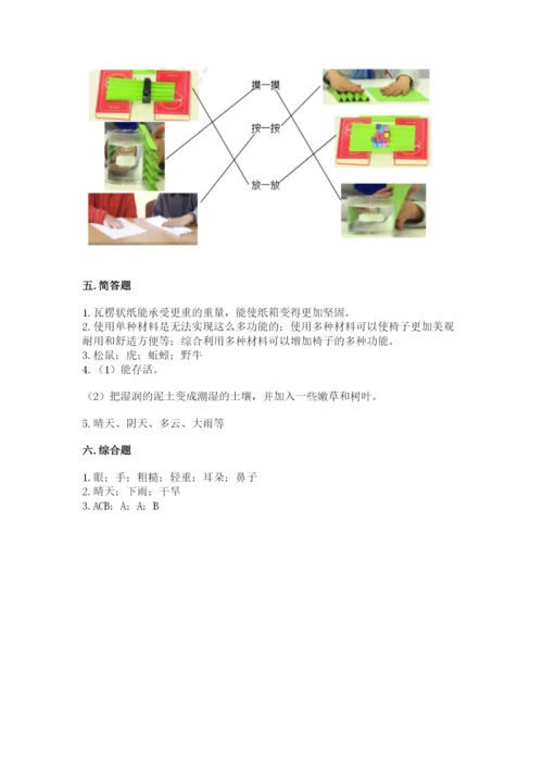 教科版二年级上册科学期末测试卷【学生专用】.docx
