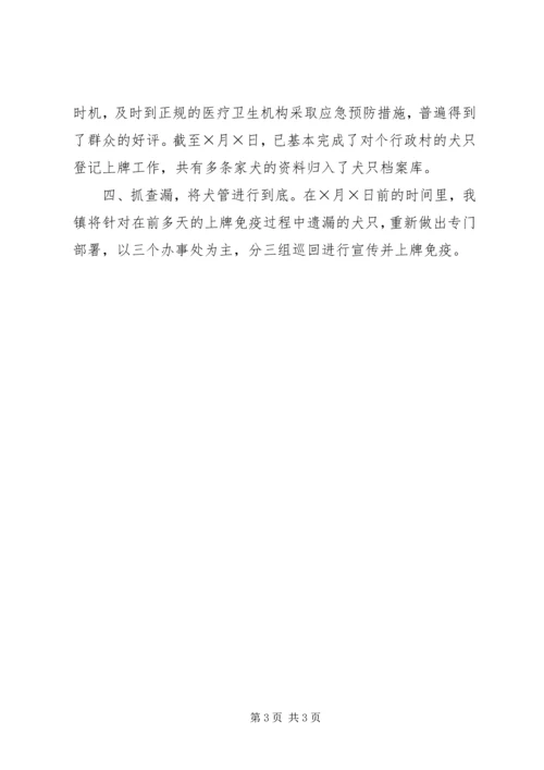 犬只管理汇报材料 (2).docx