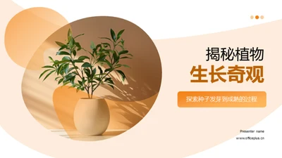 揭秘植物生长奇观