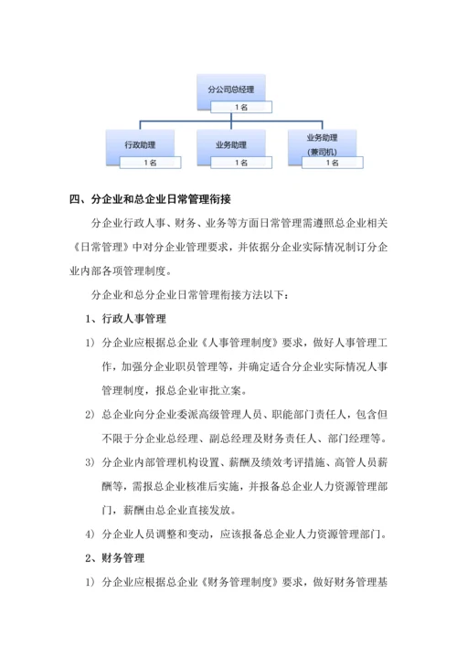 分公司筹建专项方案.docx