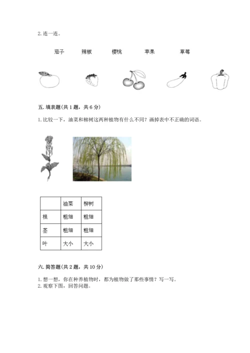 教科版科学一年级上册第一单元《植物》测试卷附参考答案【精练】.docx