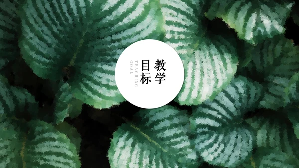 清新绿色教师说课通用PPT模板
