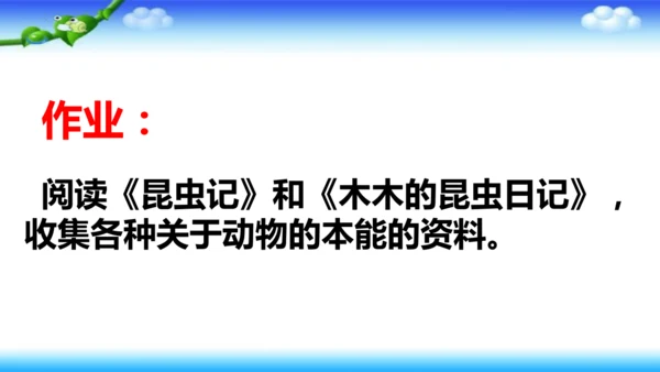 14《蜜蜂》课件