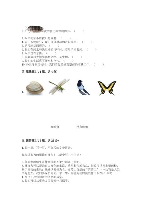 教科版一年级下册科学期末测试卷标准卷.docx