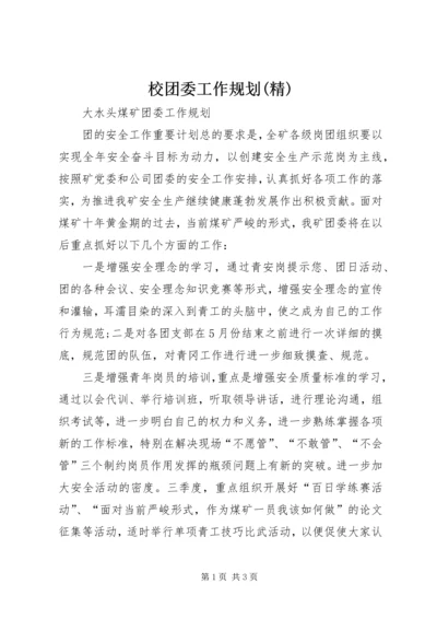 校团委工作规划(精) (3).docx