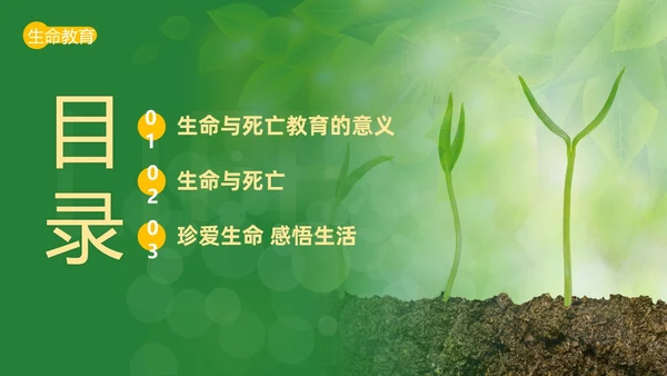 2023年生命教育认识生命珍爱生命安全教育主题班会PPT课件