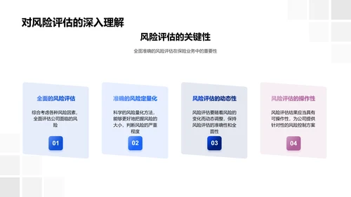 保险风险评估述职