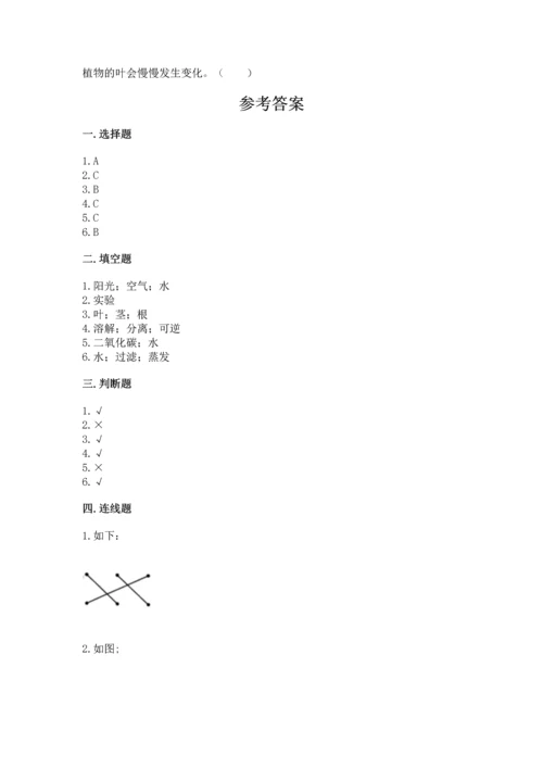 教科版科学一年级上册第一单元《植物》测试卷及完整答案【有一套】.docx