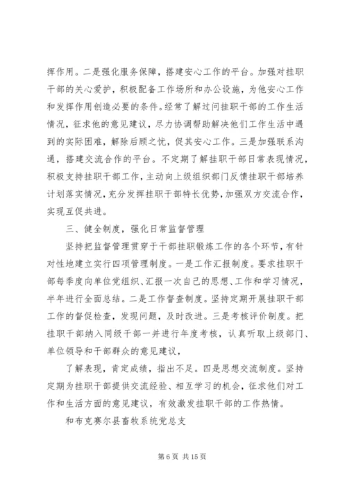 挂职干部学习实践计划.docx