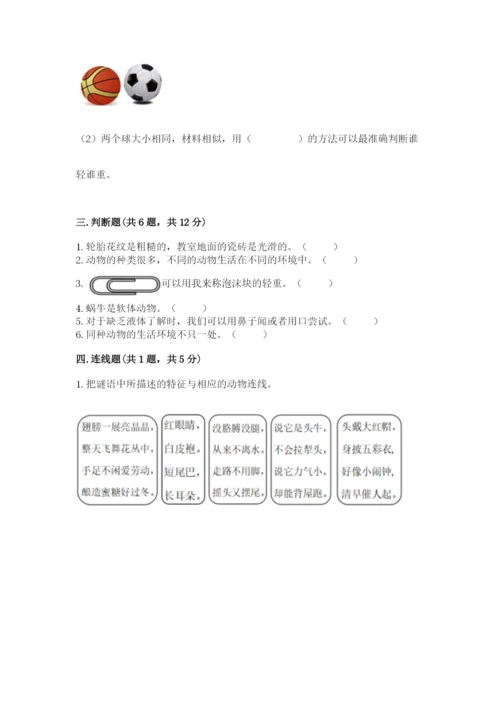教科版小学科学一年级下册期末测试卷附参考答案【综合卷】.docx