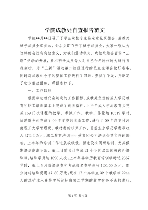 学院成教处自查报告范文 (4).docx