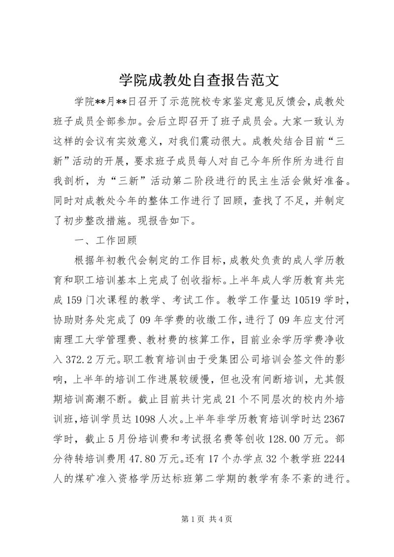 学院成教处自查报告范文 (4).docx