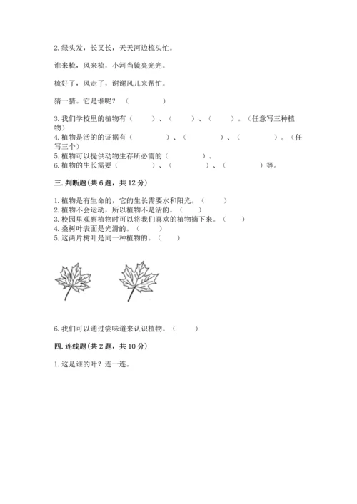 教科版科学一年级上册第一单元《植物》测试卷含答案（综合卷）.docx