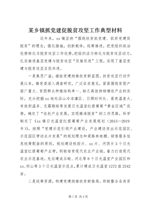 某乡镇抓党建促脱贫攻坚工作典型材料 (2).docx