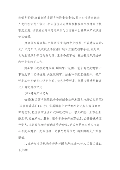 公司混合所有制改革试点工作专业方案.docx