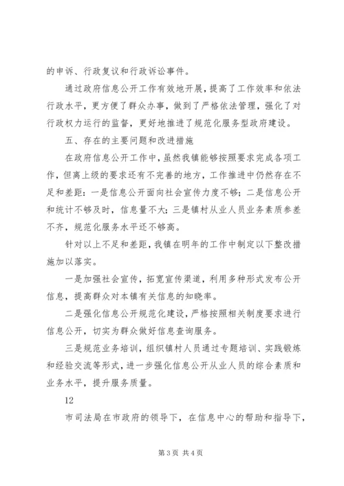 乡镇政府信息公开自查报告.docx