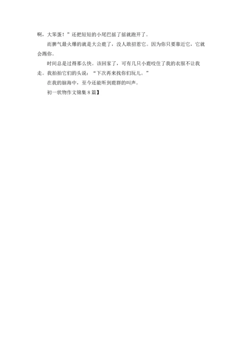 初一状物作文锦集8篇.docx