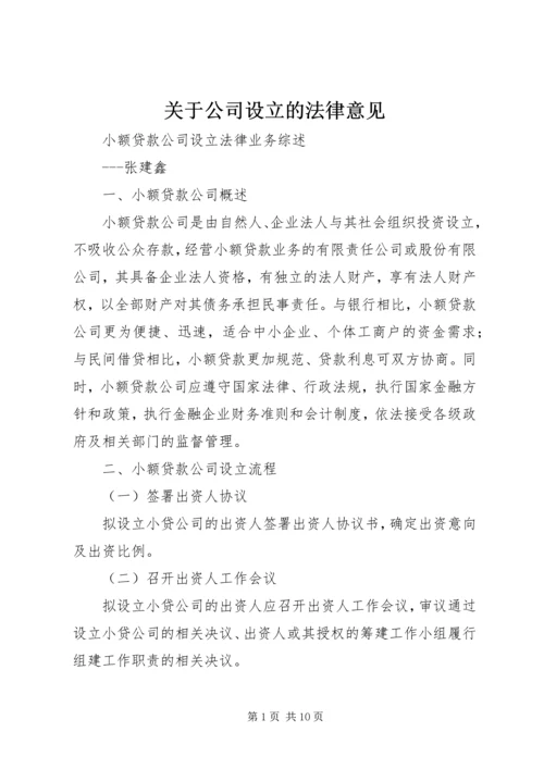 关于公司设立的法律意见 (2).docx