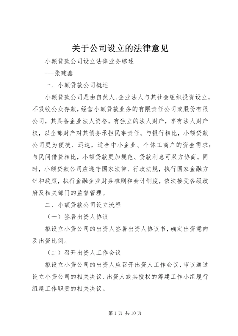 关于公司设立的法律意见 (2).docx