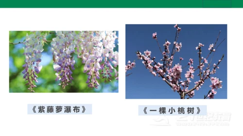 【新课标·备课先锋】人教统编版语文七下 第五单元 大单元整体教学 课件(共59张PPT)