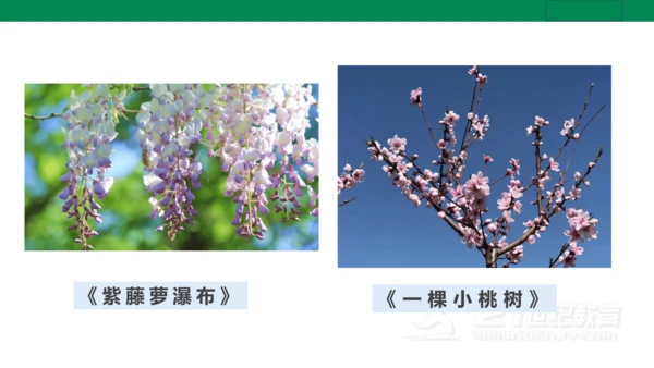 【新课标·备课先锋】人教统编版语文七下 第五单元 大单元整体教学 课件(共59张PPT)