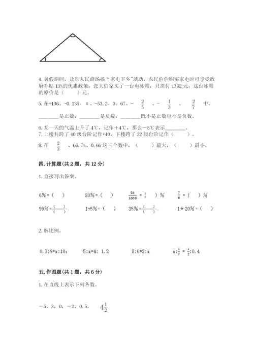 人教版六年级下册数学期末测试卷（预热题）word版.docx