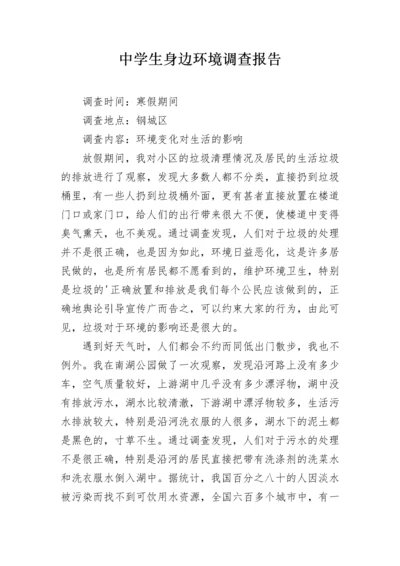 中学生身边环境调查报告.docx