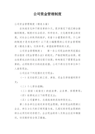 公司资金管理制度.docx