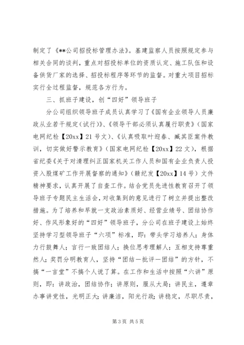 电力分公司党风廉政建设自查报告 (5).docx