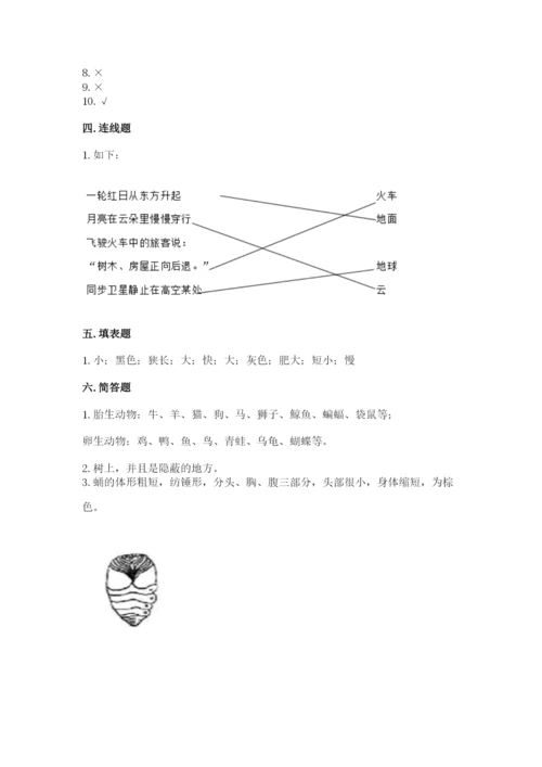 教科版科学三年级下册期末测试卷（历年真题）.docx