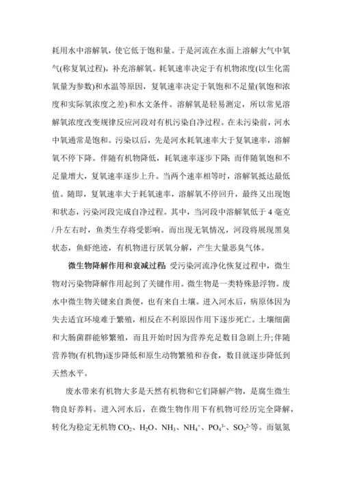 爱劳河应急处理专业方案最终.docx