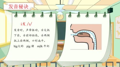 Unit 2 My schoolbag 单元复习(四)-语音及阅读+典型例题（共26张PPT）