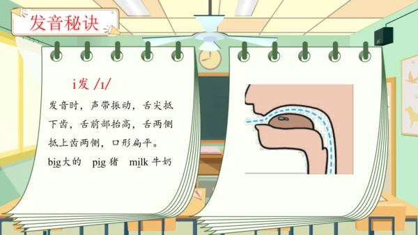Unit 2 My schoolbag 单元复习(四)-语音及阅读+典型例题（共26张PPT）
