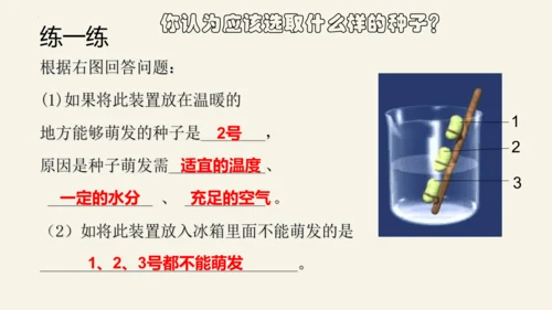 3.2.1 种子的萌发-2023-2024学年七年级生物上册优质课件（人教版）(共28张PPT)