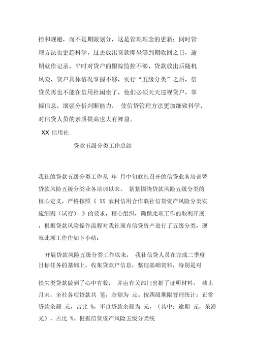 贷款风险五级分类总结报告