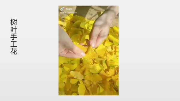 校园里的花（课件33页）-美术三年级上册人教版