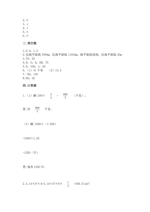 人教版六年级下册数学期末测试卷（培优a卷）.docx