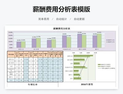 薪酬费用分析表模版