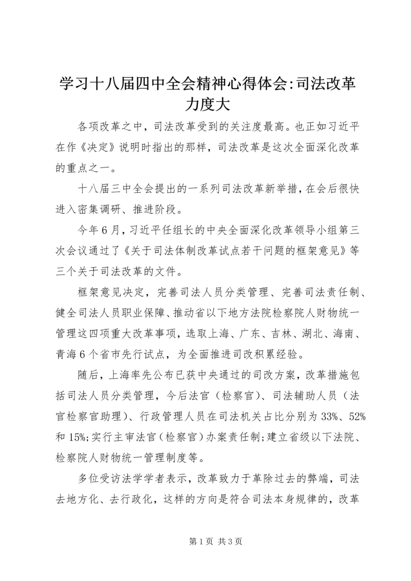 学习十八届四中全会精神心得体会-司法改革力度大.docx