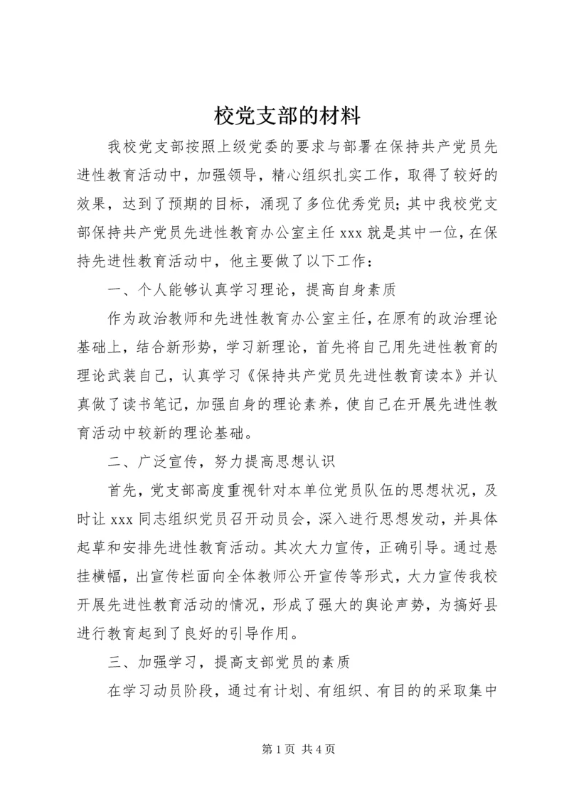 校党支部的材料.docx