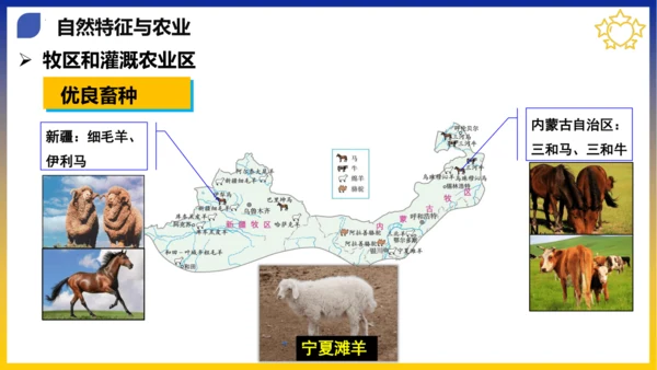 八年级期末复习地图突破【八下全册】（课件53张）-八年级地理下册期中考点大串讲（人教版）