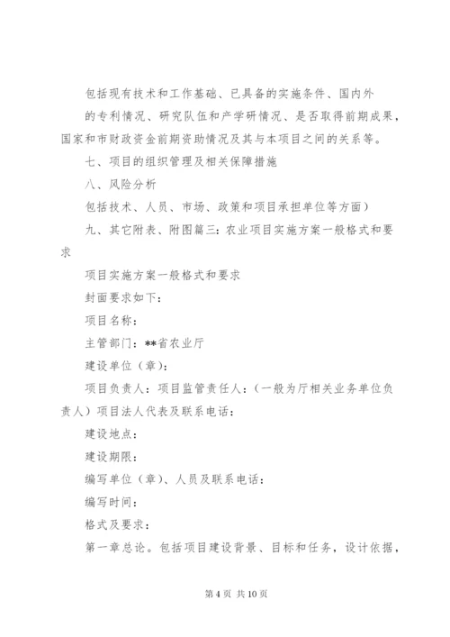 建设项目实施方案格式.docx